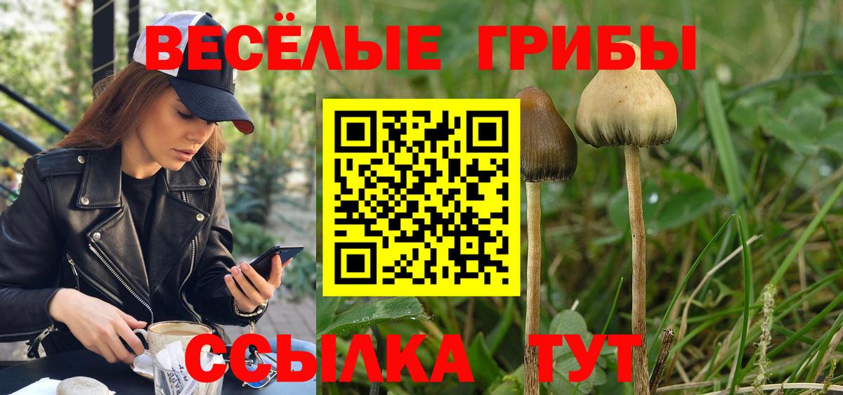 Галлюциногенные грибы Psilocybine cubensis  купить закладку  Конаково  Вход с VPN 
